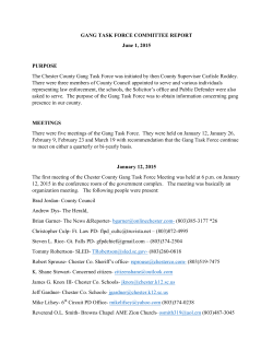 Gang Task Force Findings