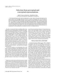 Selection from perceptual and conceptual representations