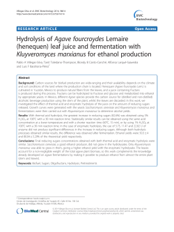 Hydrolysis of Agave fourcroydes Lemaire (henequen) leaf juice and