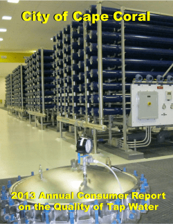 2013 Citywide CCR - City of Cape Coral