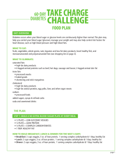 Food Plan - Contour Next