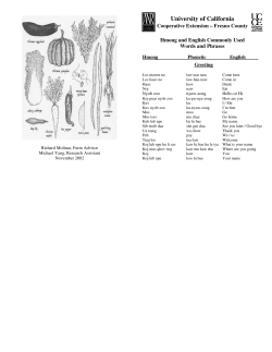 Hmong and English Commonly Used Words and Phrases