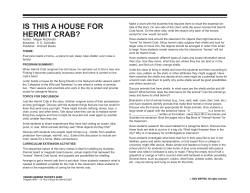 is this a house for hermit crab?
