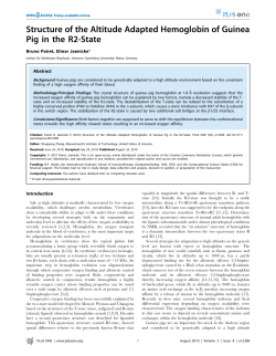 Structure of the Altitude Adapted Hemoglobin of Guinea