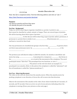 Lab 1 - Amoeba Observations