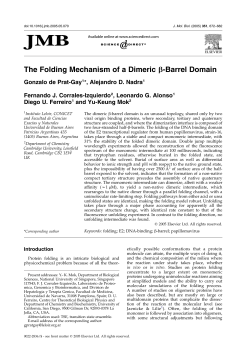 The Folding Mechanism of a Dimeric b-Barrel Domain