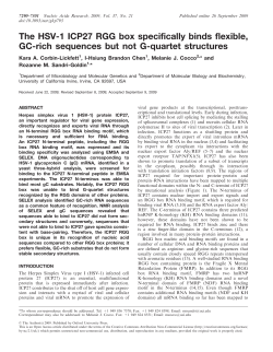 HSV-1 ICP27 RGG box specifically binds flexible, GC