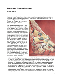 Excerpt from "Rhetoric of the Image"