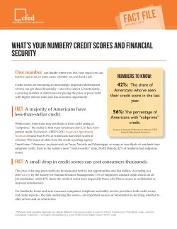 Credit Scores and Financial Security