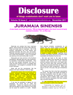 Entire Newsletter in Adobe Acrobat  format