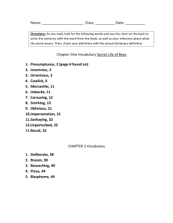Chapter One Vocabulary Secret Life of Bees 1. Presumptuous, 2 (p
