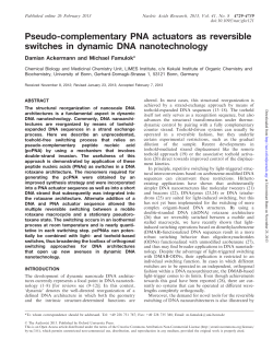 Pseudo-complementary PNA actuators as reversible switches in