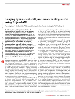 M., S. Chen, P. Shetty, R. Lin, W.-H. Li. 2008