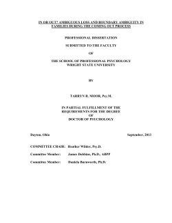 IN OR OUT? AMBIGUOUS LOSS AND BOUNDARY AMBIGUITY IN