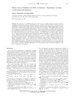 Minor Groove Hydration of DNA in Solution: Dependence on Base