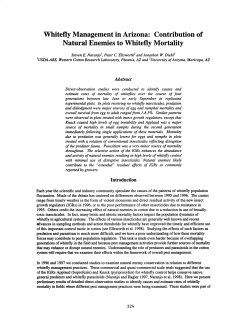 Whitefly Management in Arizona: Contribution of Natural Enemies to