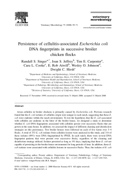 Persistence of cellulitis-associated Escherichia coli DNA fingerprints