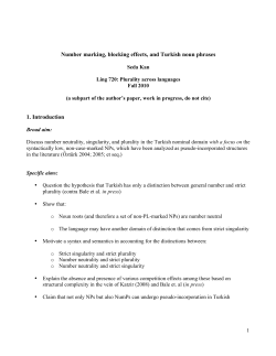 Number marking, blocking effects, and Turkish noun phrases 1