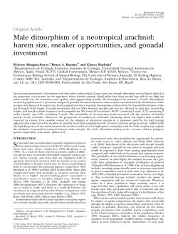 Male dimorphism of a neotropical arachnid: harem size, sneaker