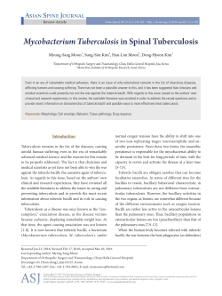 - Asian Spine Journal