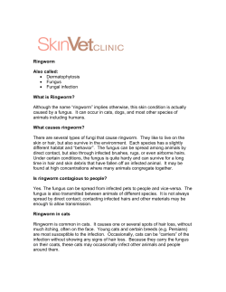 Ringworm Also called