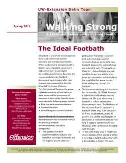 The Ideal Footbath - For Your Information