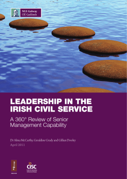 leadership in the irish civil service