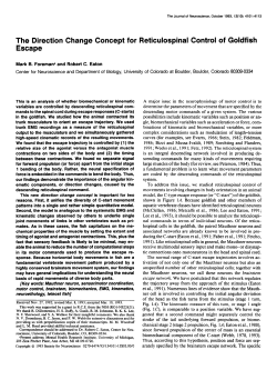 The Direction Change Concept for Reticulospinal Control of Goldfish