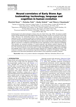 Neural correlates of Early Stone Age toolmaking