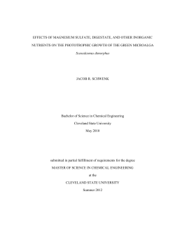 Effect of Growth Media on the Phototrophic Growth of the Green