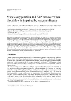 Muscle oxygenation and ATP turnover when blood flow is