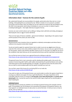 Information sheet &ndash; licences for the control of gulls