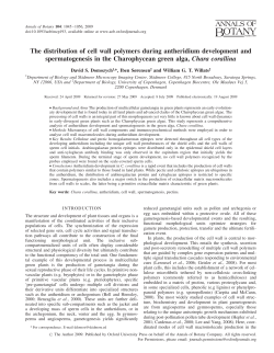 The distribution of cell wall polymers during