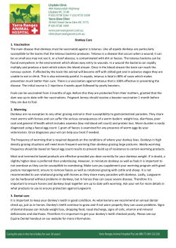 Donkey Care 1. Vaccination - Yarra Ranges Animal Hospital