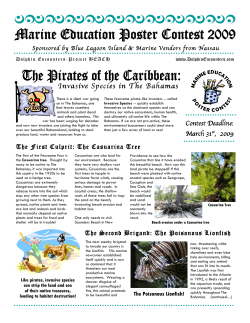 Pirates of the Caribbean