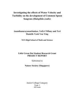 Investigating the effects of Water Velocity and Turbidity on the