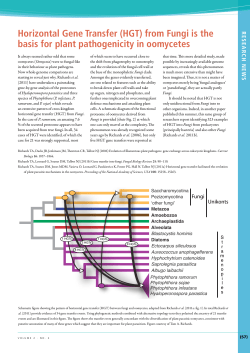Horizontal Gene Transfer (HGT)
