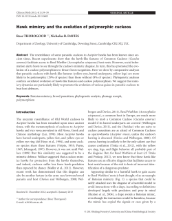 Here - informed birds