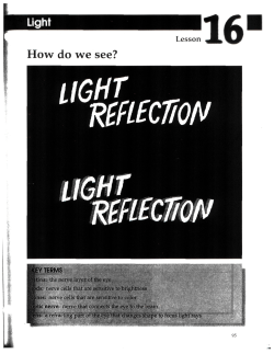 How do we see? - Wolcott School