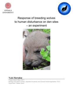 Response of breeding wolves to human disturbance on den
