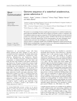 Genome sequence of a waterfowl aviadenovirus, goose adenovirus 4