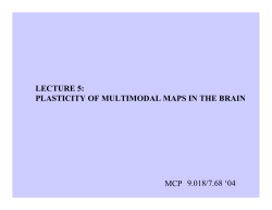MCP &ndash; Multimodal Maps