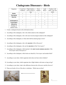 Cladograms Dinosaurs - Birds