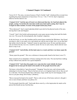 1 Samuel Chapter 14 Continued