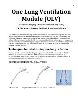One Lung Ventilation Module (OLV)
