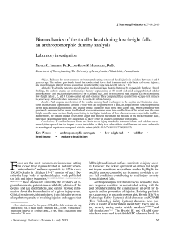 Biomechanics of the toddler head during low
