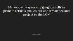 Melanopsin-expressing ganglion cells in primate retina signal colour