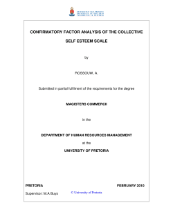 confirmatory factor analysis of the collective self esteem scale
