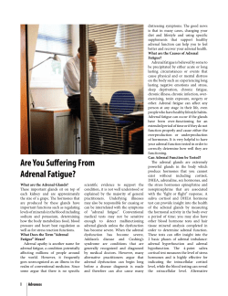 Are You Suffering From Adrenal Fatigue?
