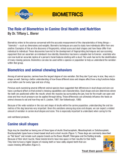 Dog Foods | Dry, Wet Dog Food and Dog Treats | PEDIGREE